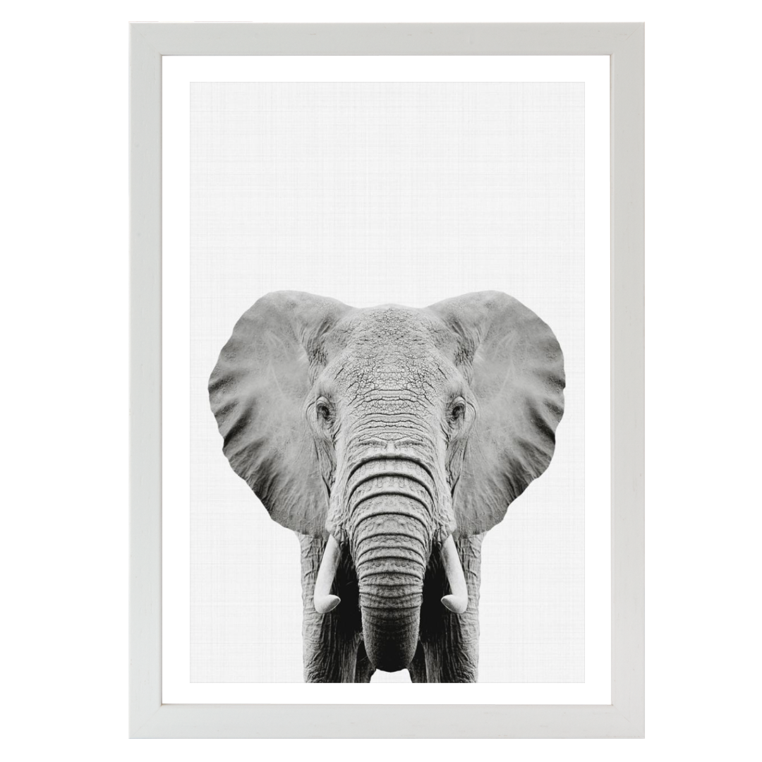 Elephant Portrait Print