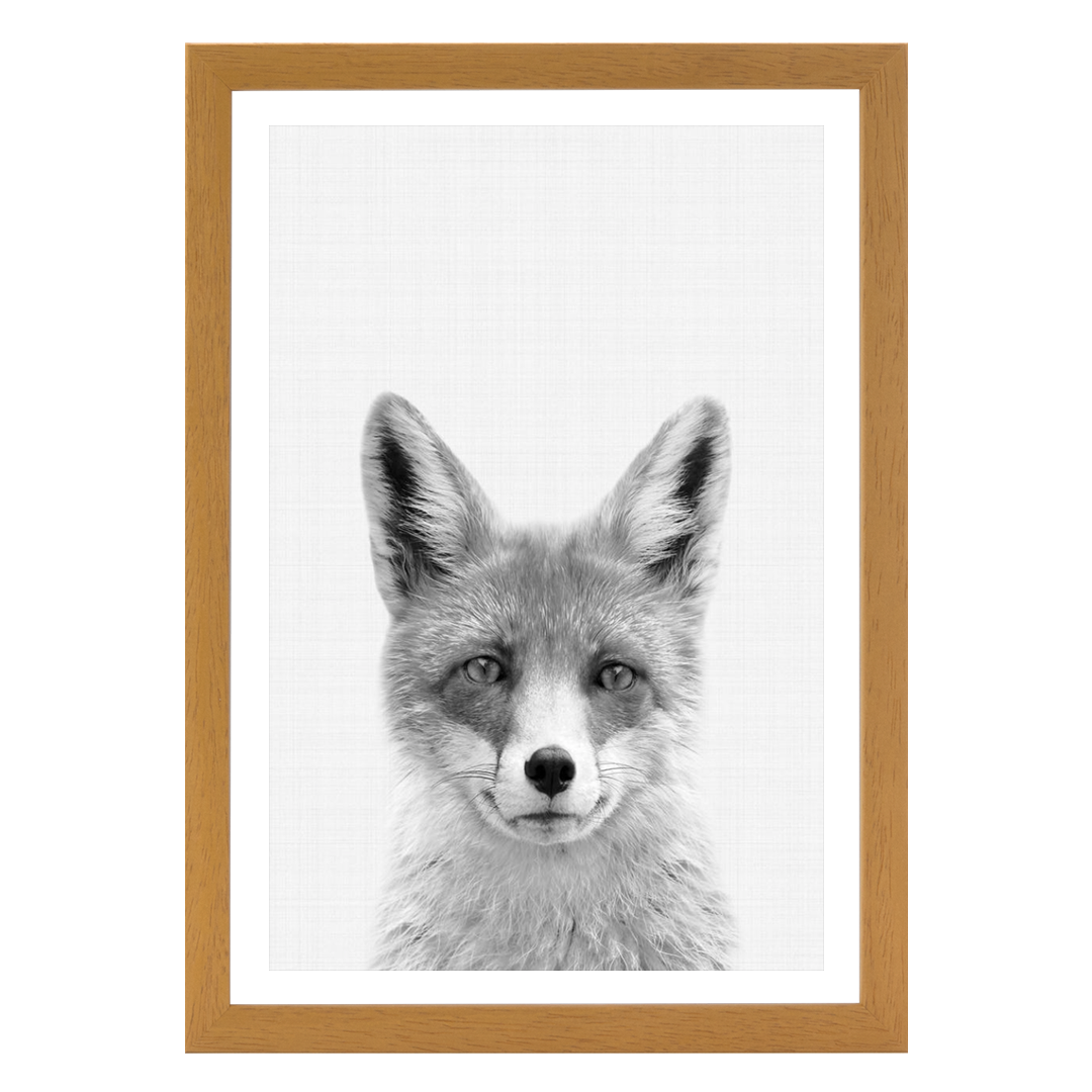 Fox B&W