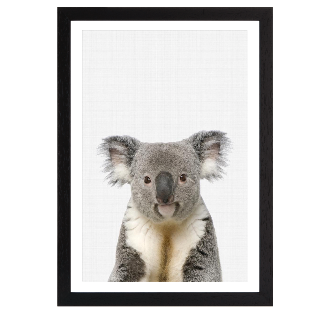 Koala Portrait