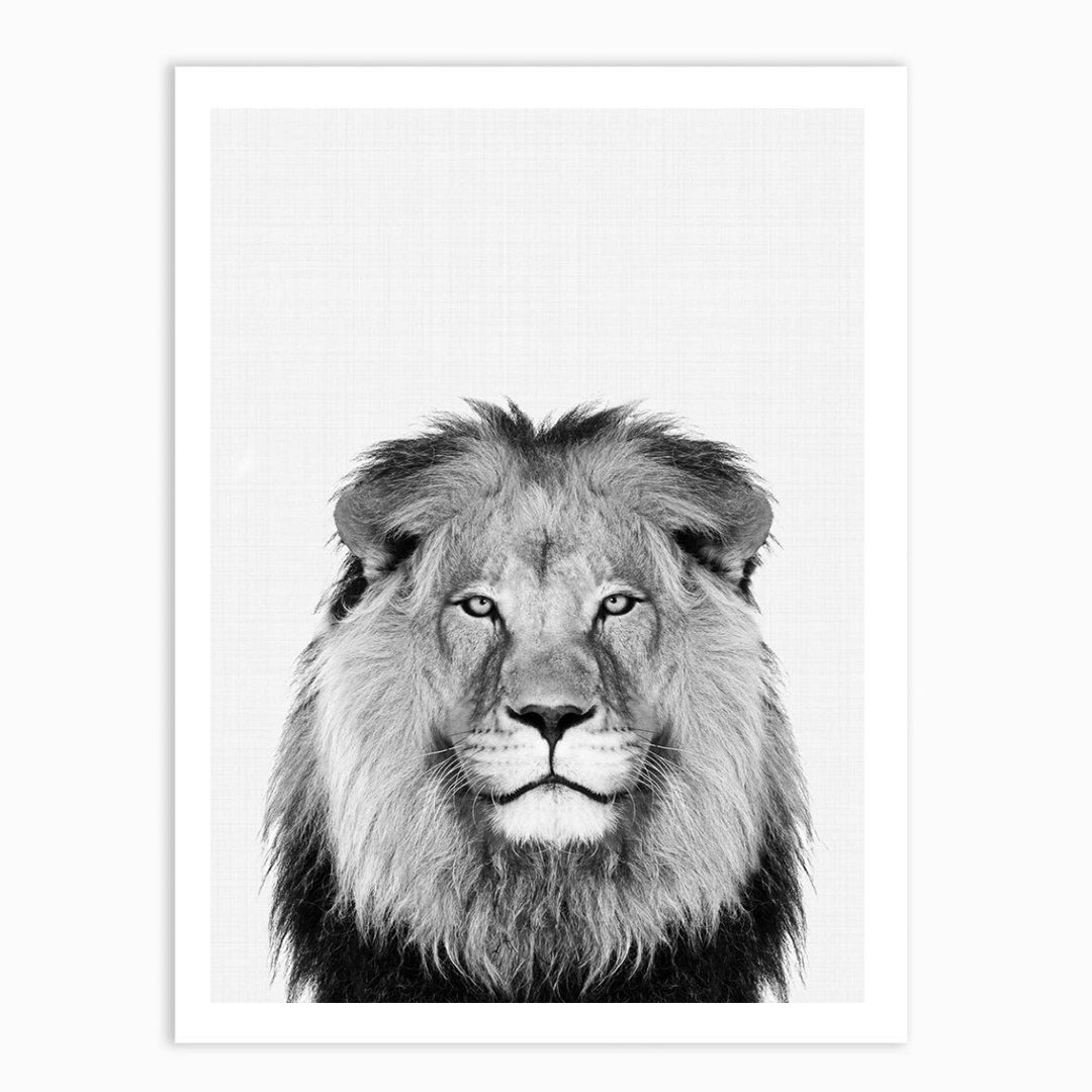 Lion Portrait Print