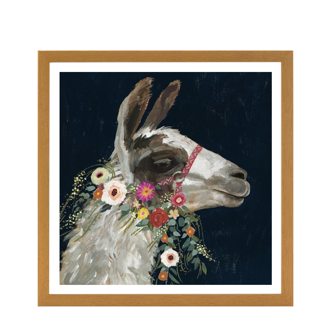Lovely Llama I