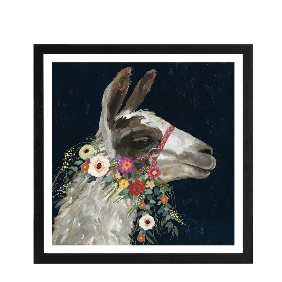 Lovely Llama I
