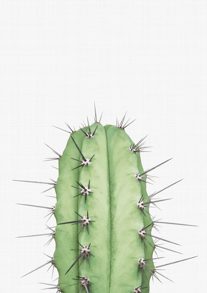 Cactus 2 Print