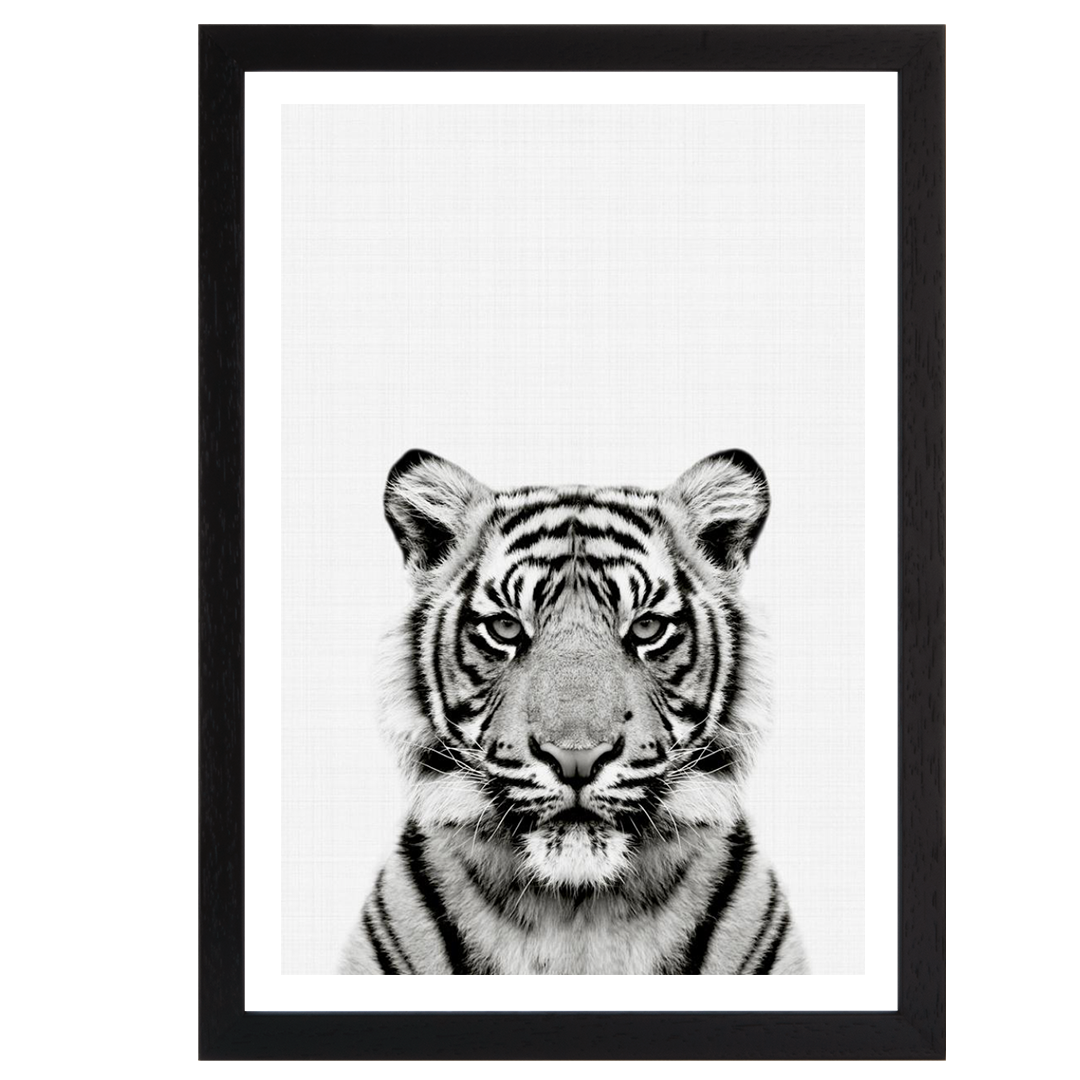 Tiger Portrait Print