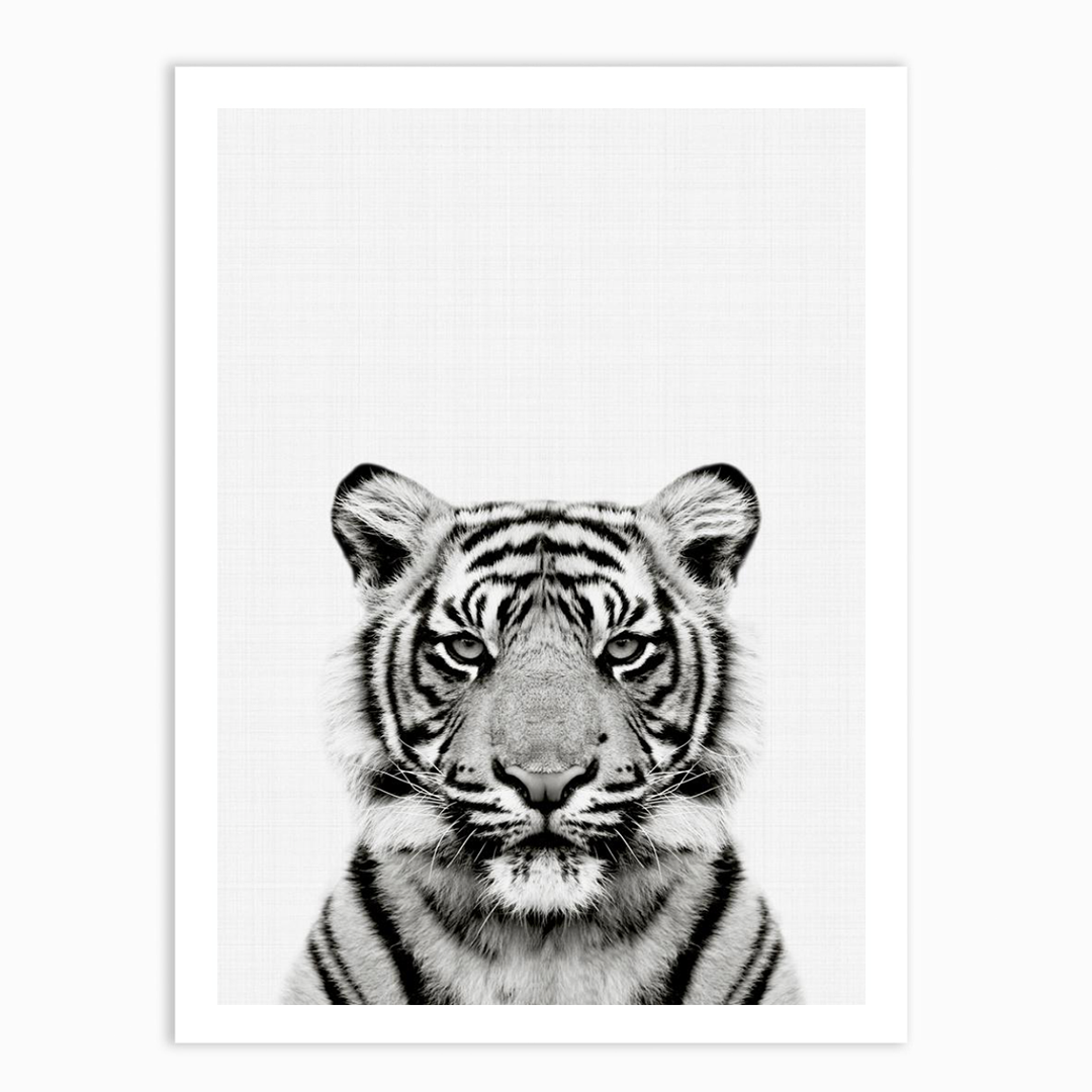 Tiger Portrait Print