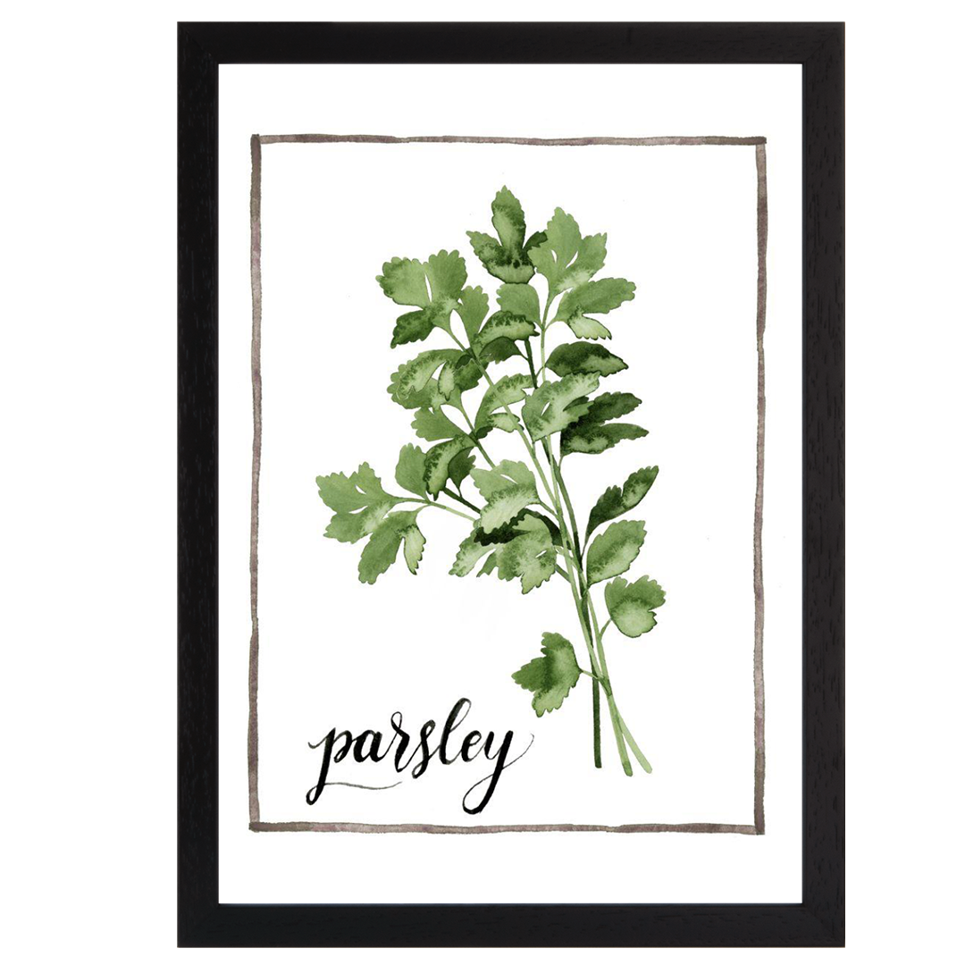 Watercolor Herbs II