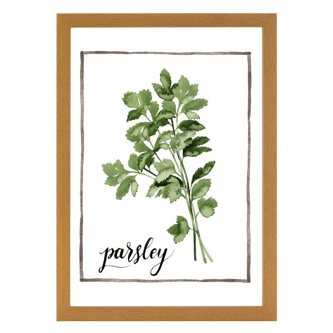 Watercolor Herbs II