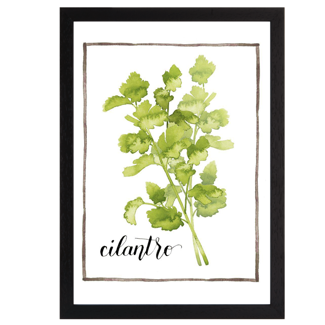 Watercolor Herbs IV