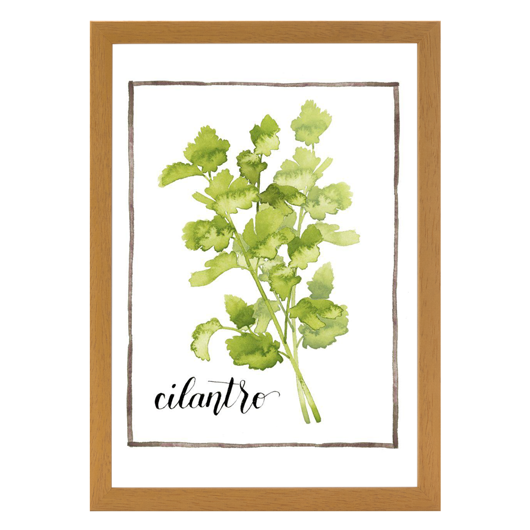 Watercolor Herbs IV