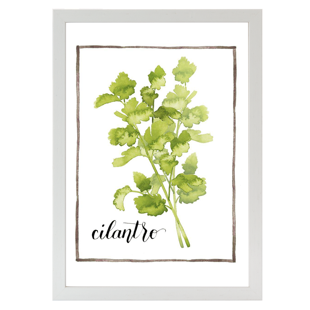 Watercolor Herbs IV