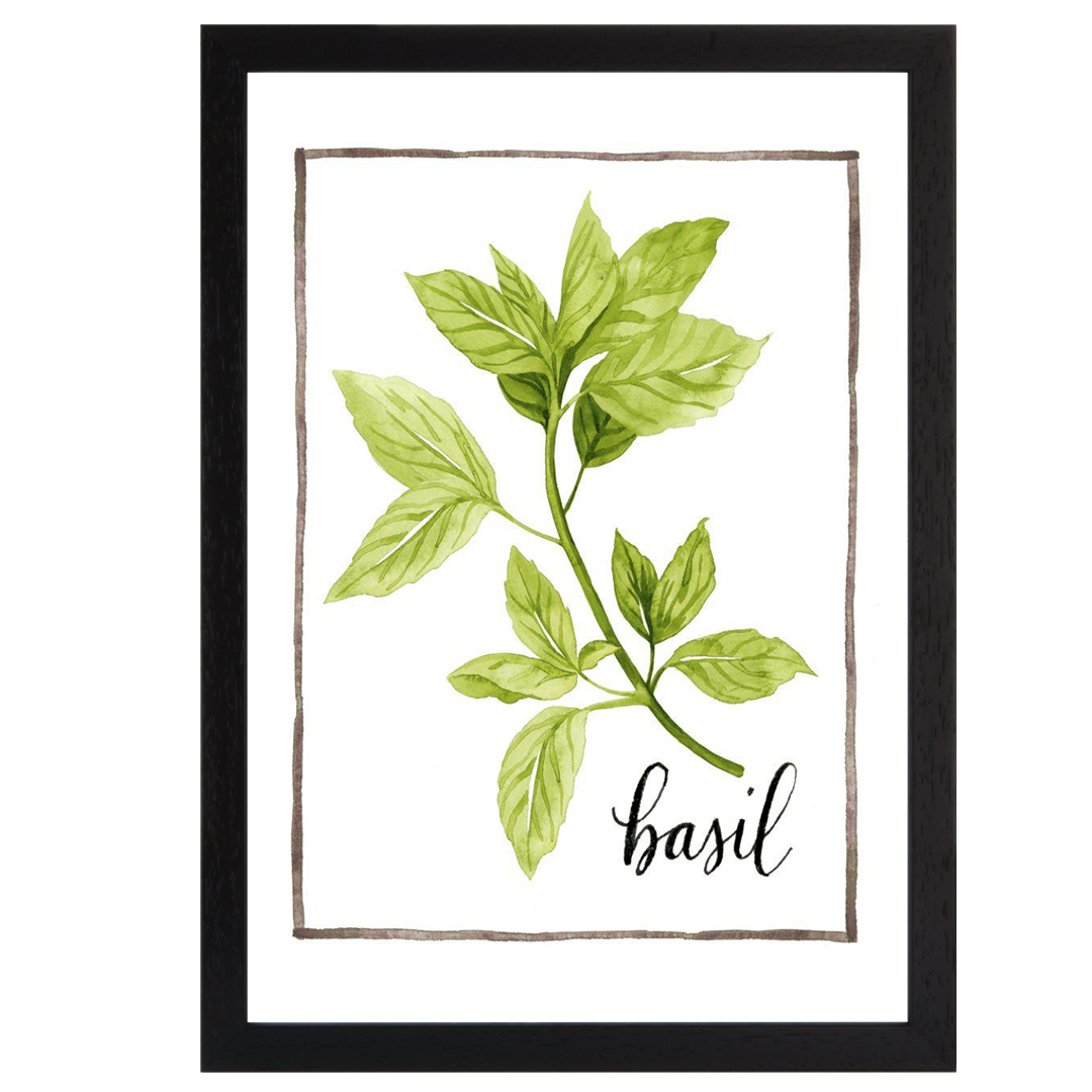 Watercolor Herbs I