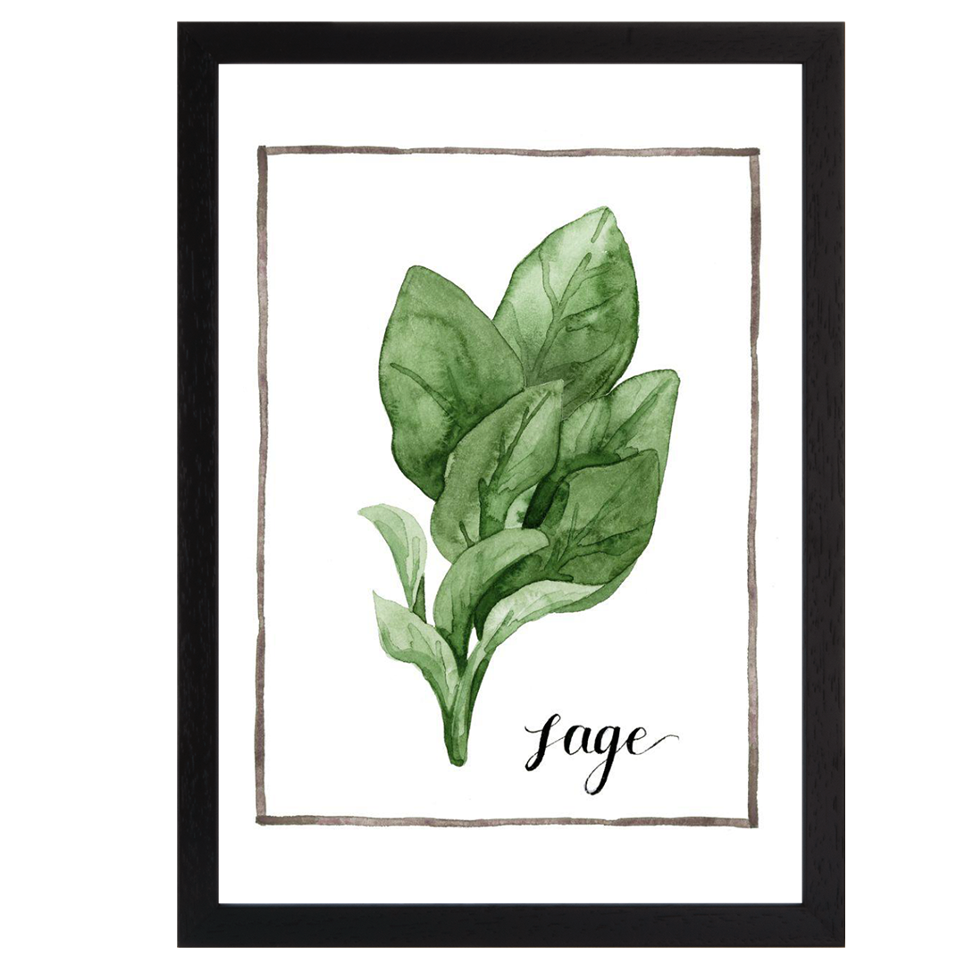 Watercolor Herbs VI