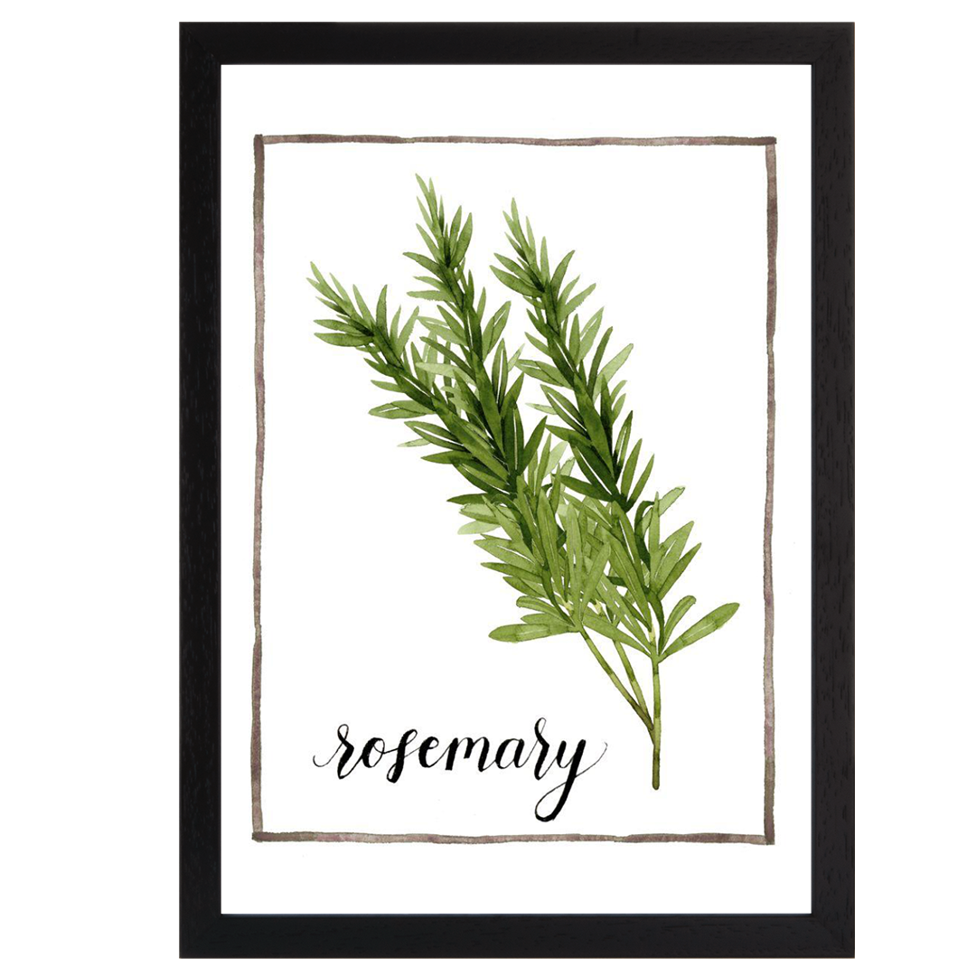 Watercolor Herbs V