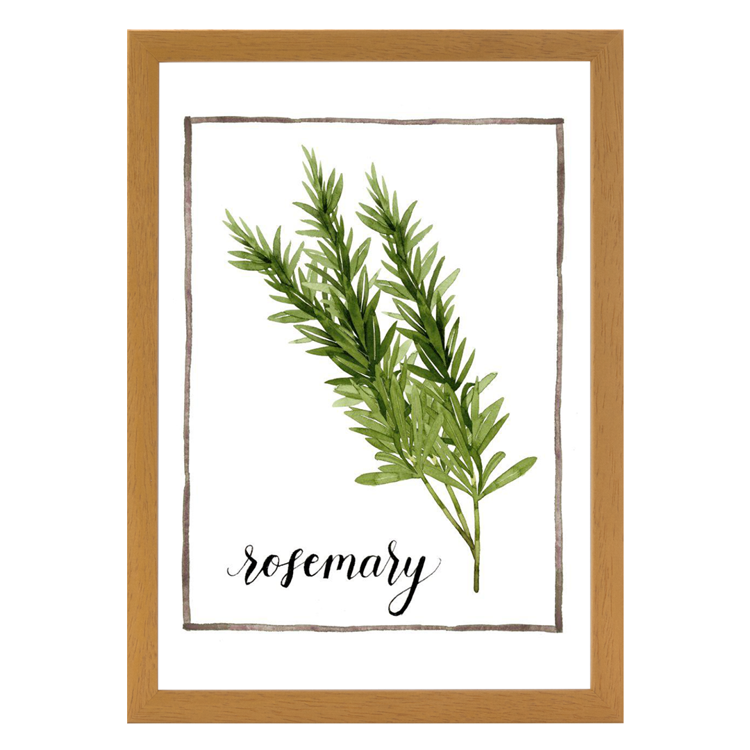 Watercolor Herbs V