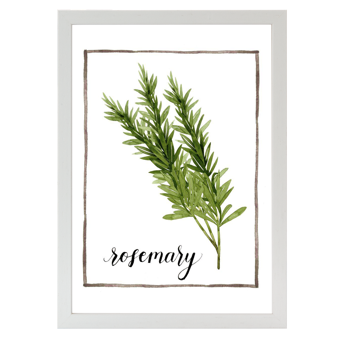 Watercolor Herbs V