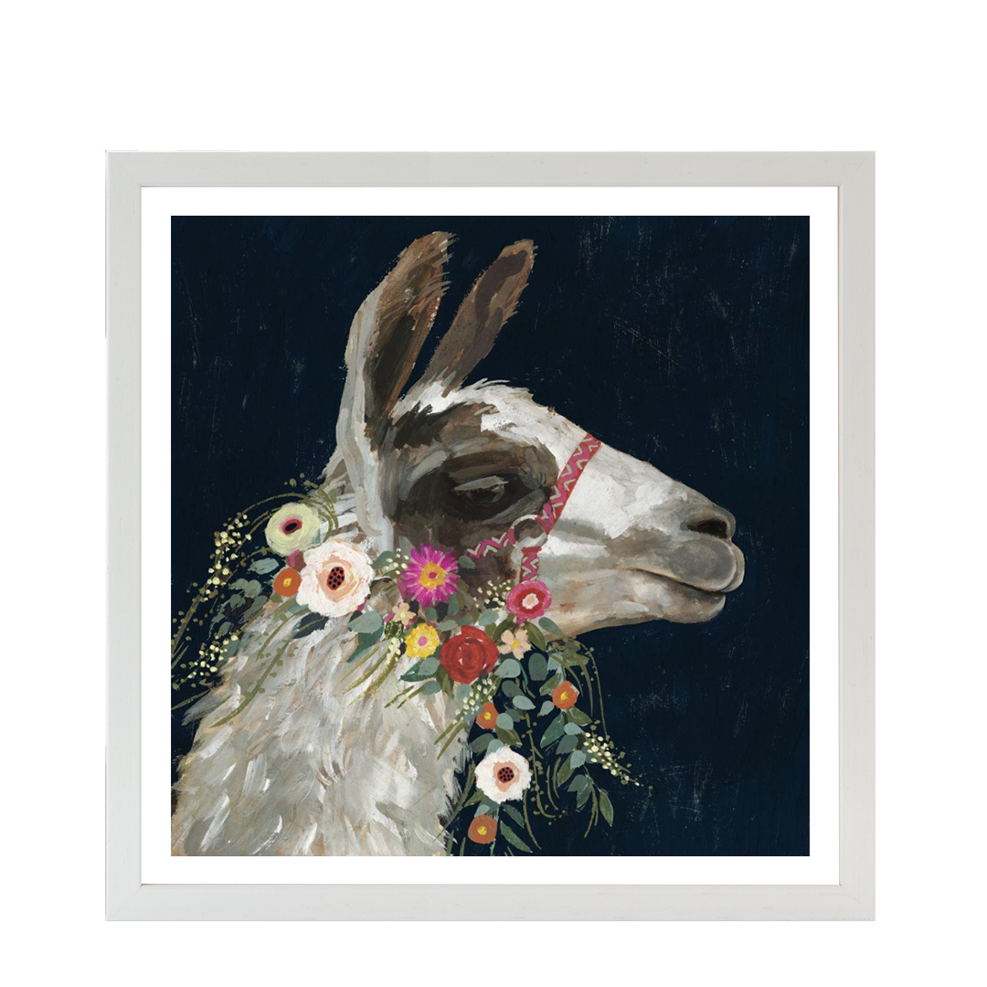 Lovely Llama I