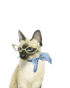 Cool Cat II