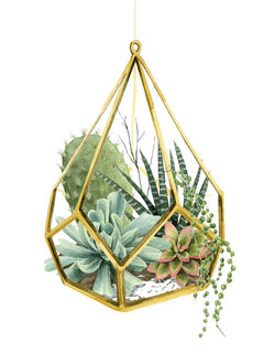 Wild Terrarium II