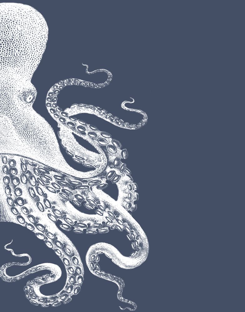 Octopus Indigo Blue and Cream b