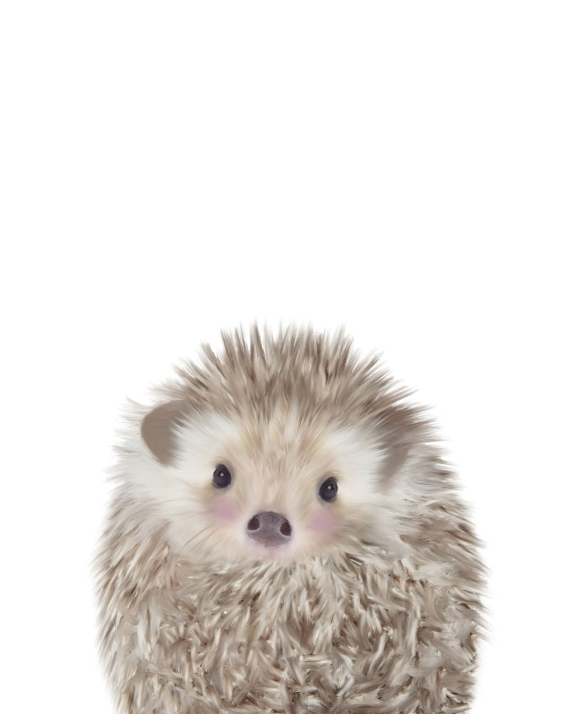 HEDGEHOG