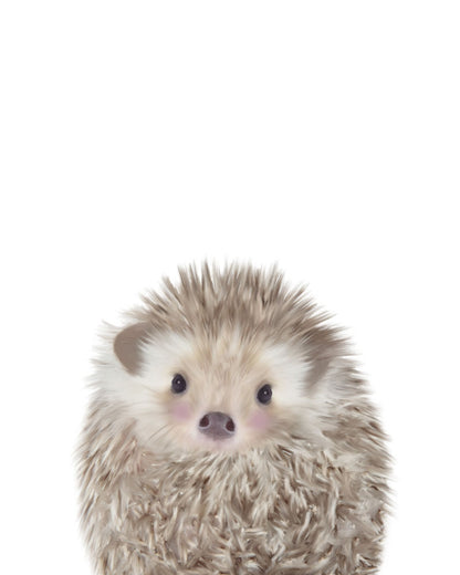 HEDGEHOG