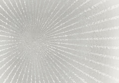 Silver Burst