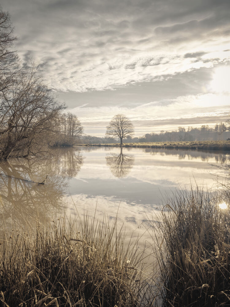 Pond Sunrise