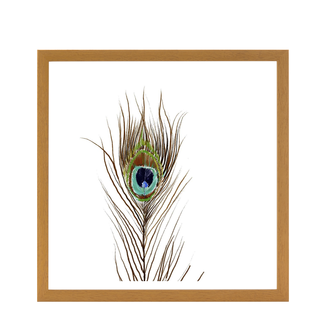Peacock Single 2