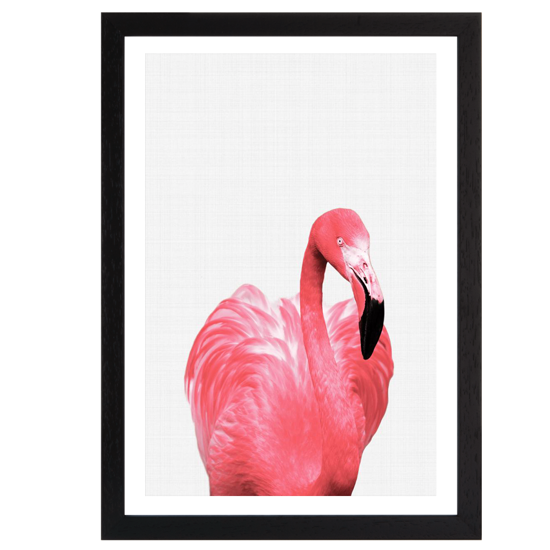 Flamingo Portrait Print