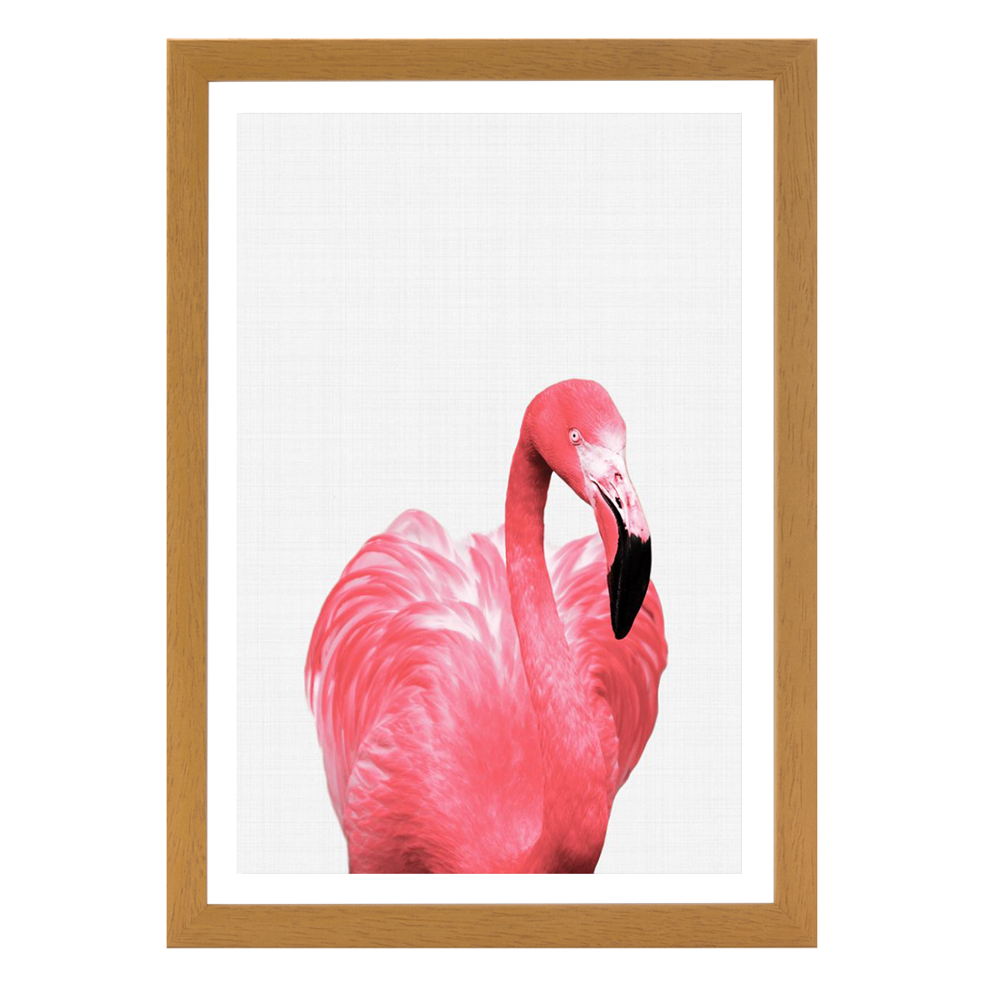 Flamingo Portrait Print