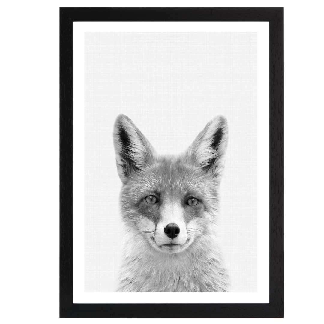 Fox B&W