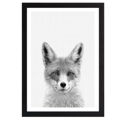 Fox B&W