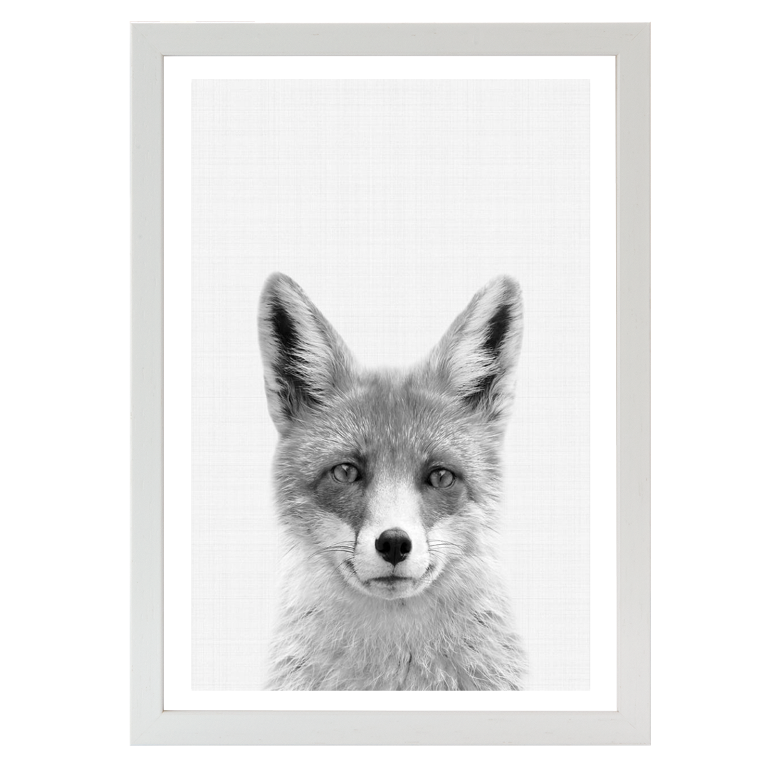 Fox B&W