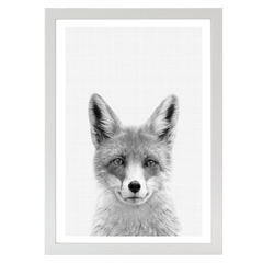 Fox B&W