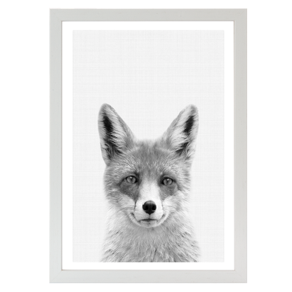 Fox B&W