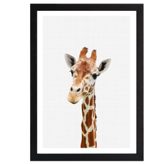 Giraffe Portrait Print