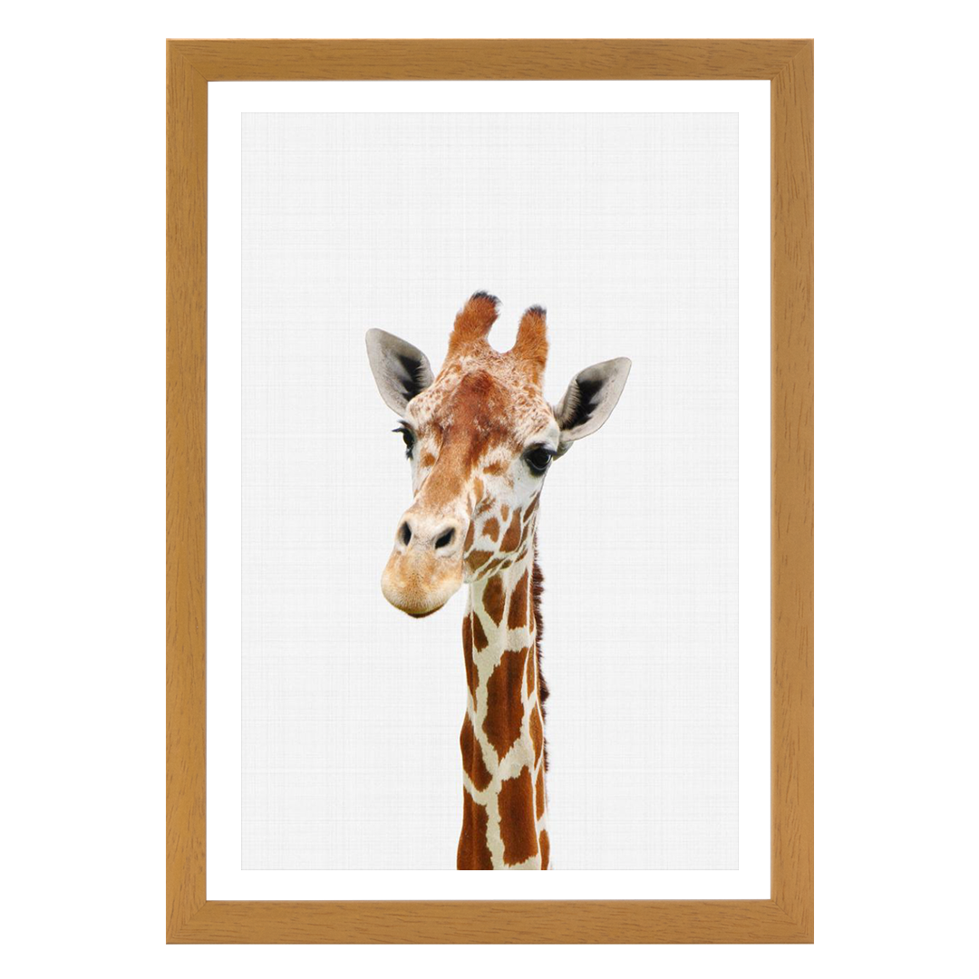 Giraffe Portrait Print