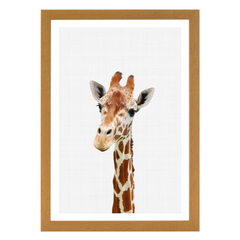 Giraffe Portrait Print