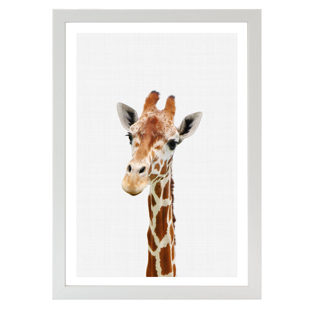 Giraffe Portrait Print