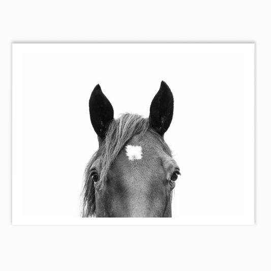Peeking Horse