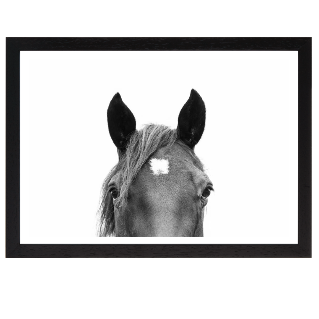 Peeking Horse
