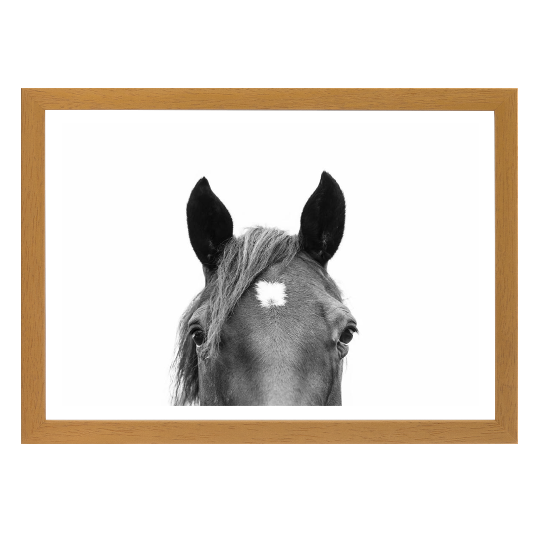 Peeking Horse