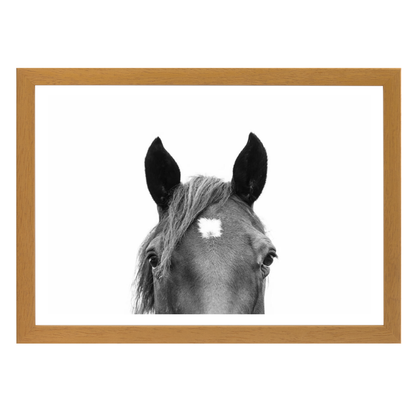 Peeking Horse