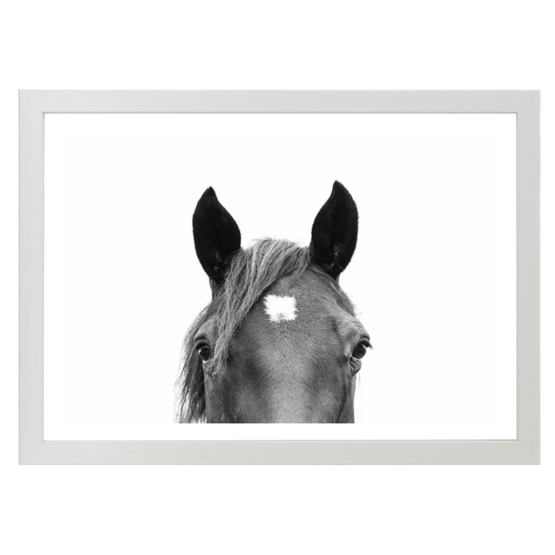Peeking Horse