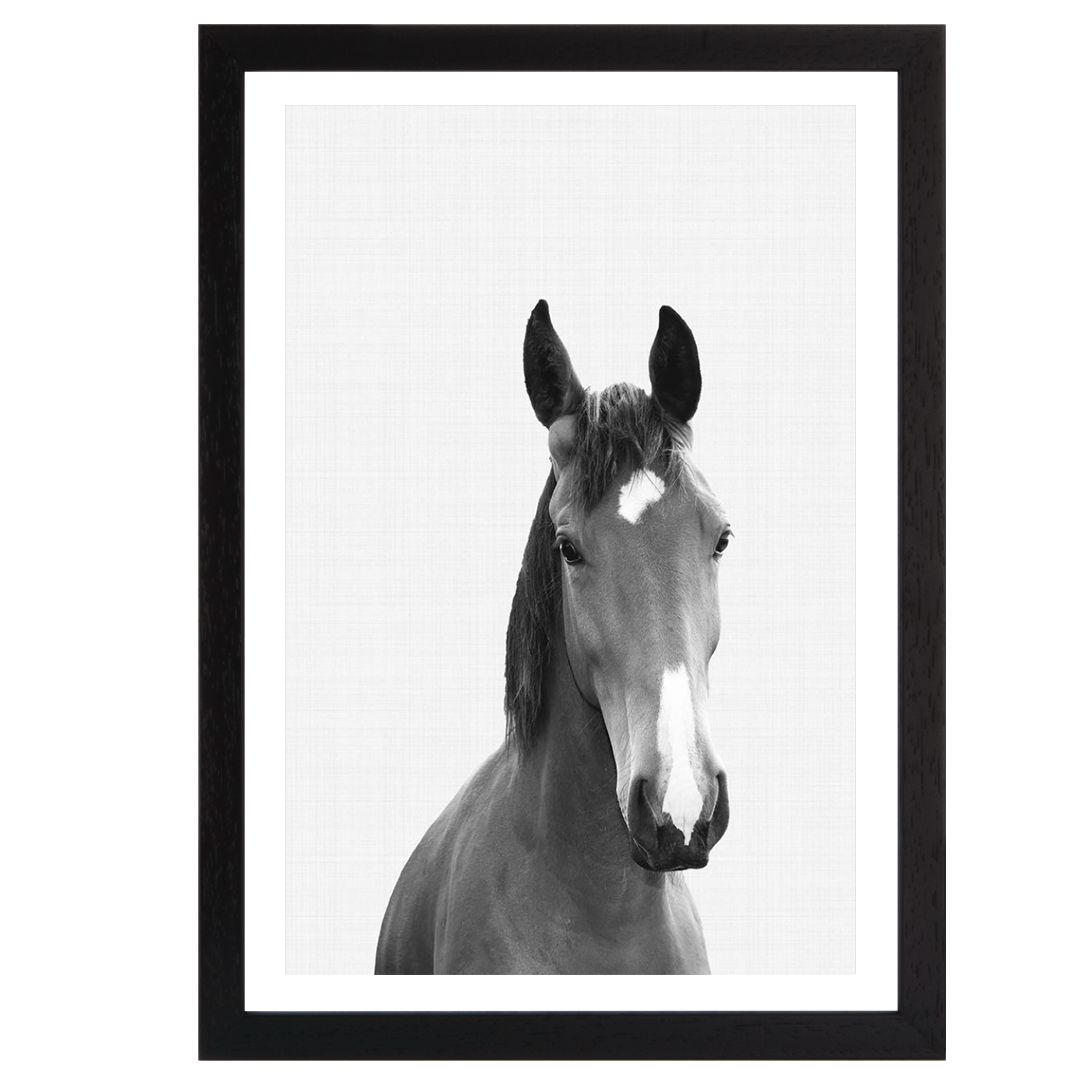 Horse Portrait Print