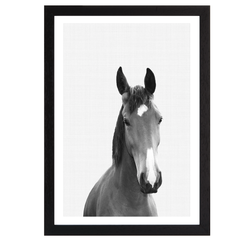 Horse Portrait Print