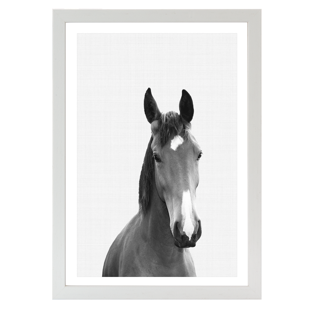 Horse Portrait Print