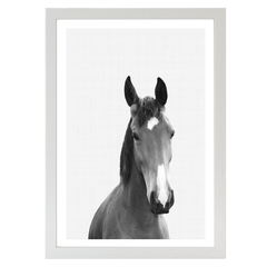 Horse Portrait Print