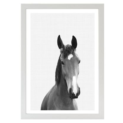 Horse Portrait Print