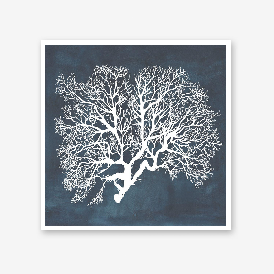 Inverse Sea Fan I, II & IV Set
